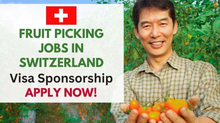 Fruit Picking Jobs in Switzerland